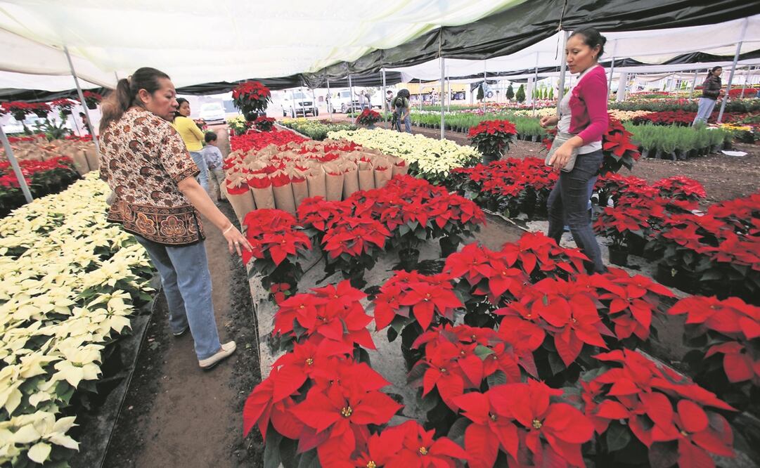 Foto: Archivo / EL UNIVERSAL