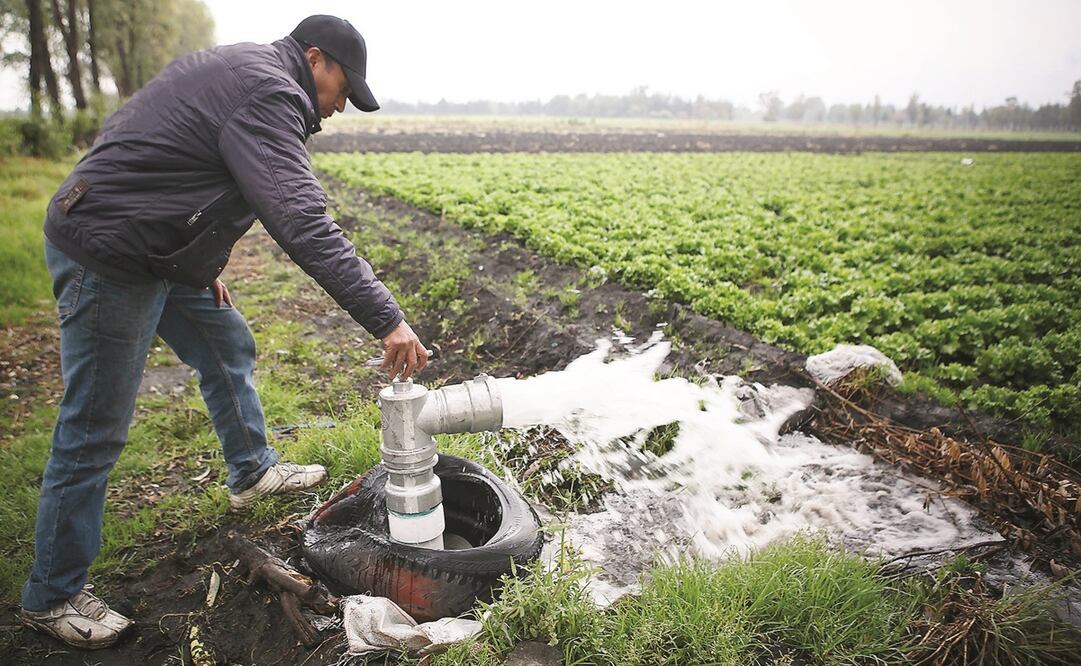 Foto: Archivo. EL UNIVERSAL