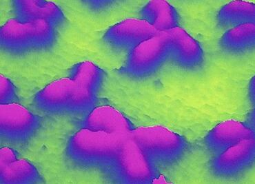 Reproducción asistida es posible sin el cromosoma Y