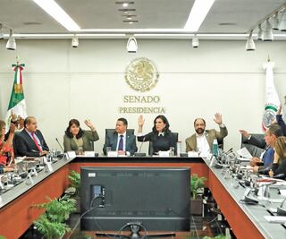 Dan luz verde a terna para relevar a titular de CNDH