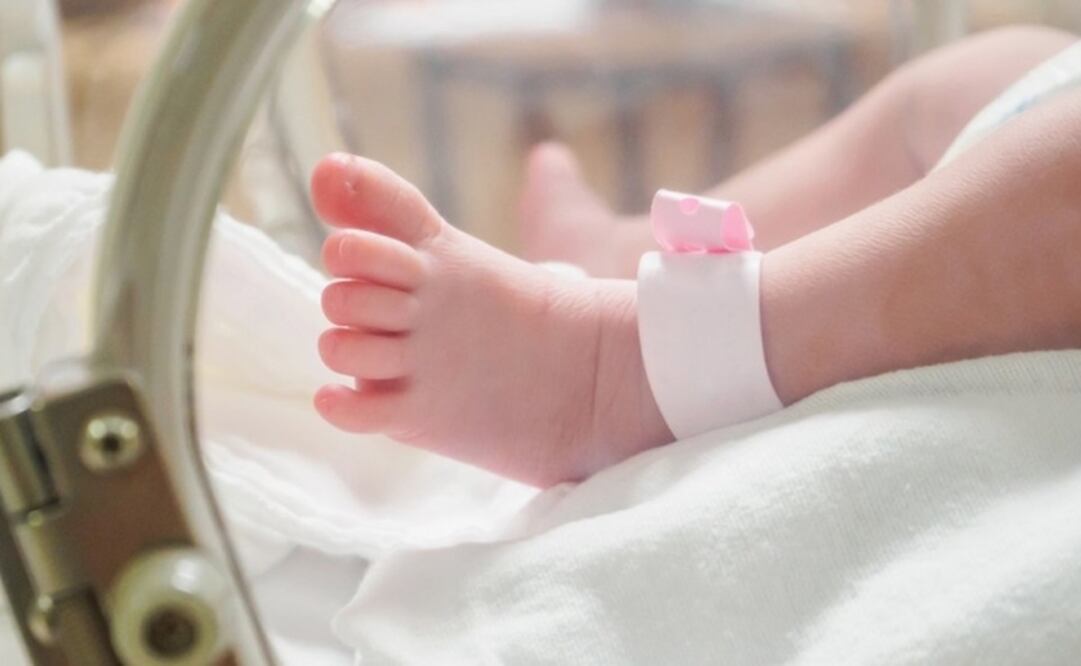 Foto: Archivo / EL UNIVERSAL