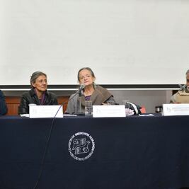 Urge reubicar 167 casas de 19-S: estudio