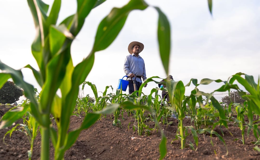 El suministro energético entra en la conversación sobre lo que produce el campo. Foto: Cortesía