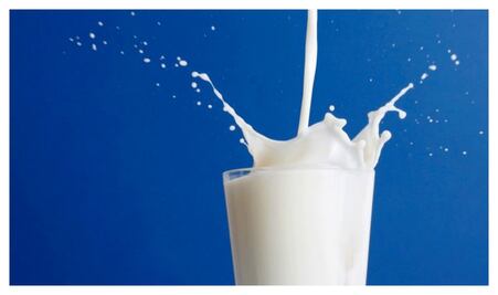 Elige la leche que más te gusta