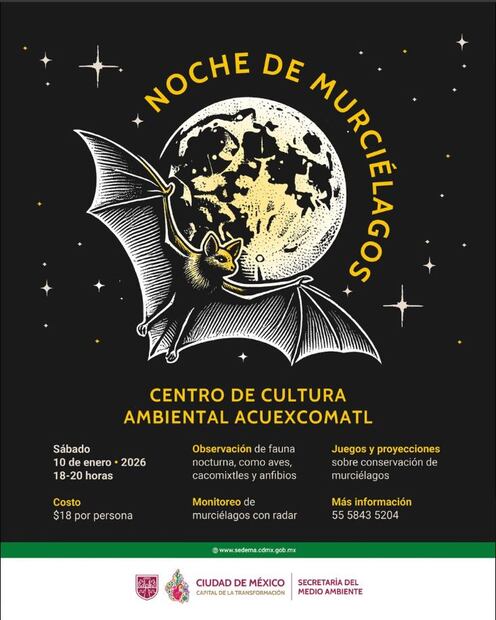 Foto: Captura de pantalla en X