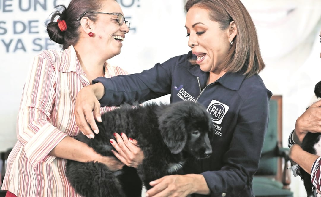 La aspirante blanquiazul, durante su mitin en Metepec, adoptó a una cachorra criolla de dos meses a la que puso por nombre victoria. (CRISTOPHER ROGEL. EL UNIVERSAL)