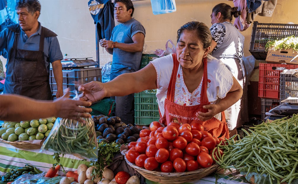 Producir alimentos en México depende cada vez más de la electricidad. Foto: iStock