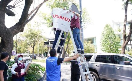 Publican reglamento de la Ley de Publicidad Exterior: se prohíben mensajes sexistas y lenguaje misógino