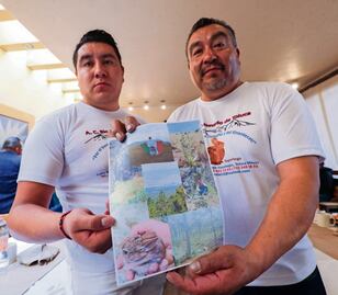 Registran presencia de teporingos en el Nevado