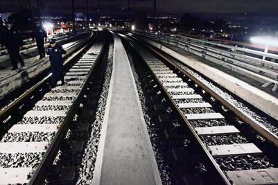 Estaciones reabiertas de L12 funcionan bien