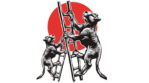 En la UNAM sí habrá reelección