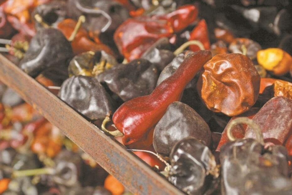 Chilhuacle, el renacer del chile oaxaqueño