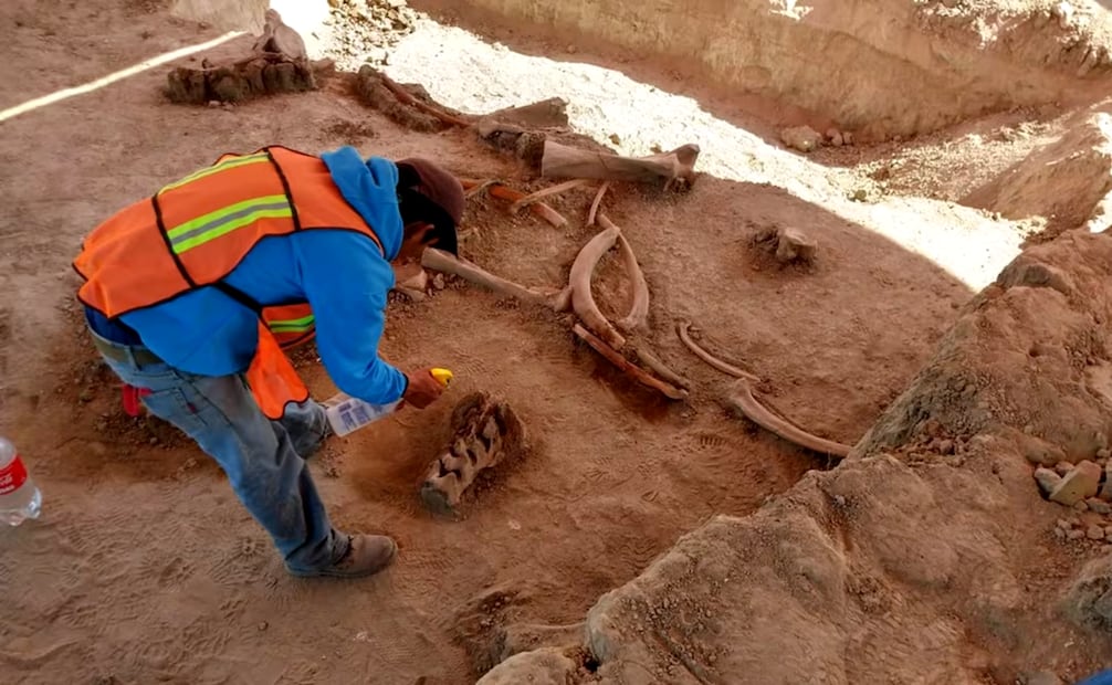 Imagen de 2019 de los trabajos arqueológicos en los terrenos de Santa Lucia, Estado de México. Foto: EL UNIVERSAL.