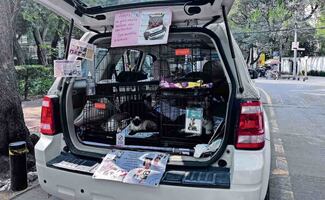 Rescatistas de animales piden regresar al Parque México