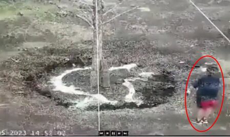 Expertos no descartan que el nuevo Ahuehuete muera tras ataque con cemento