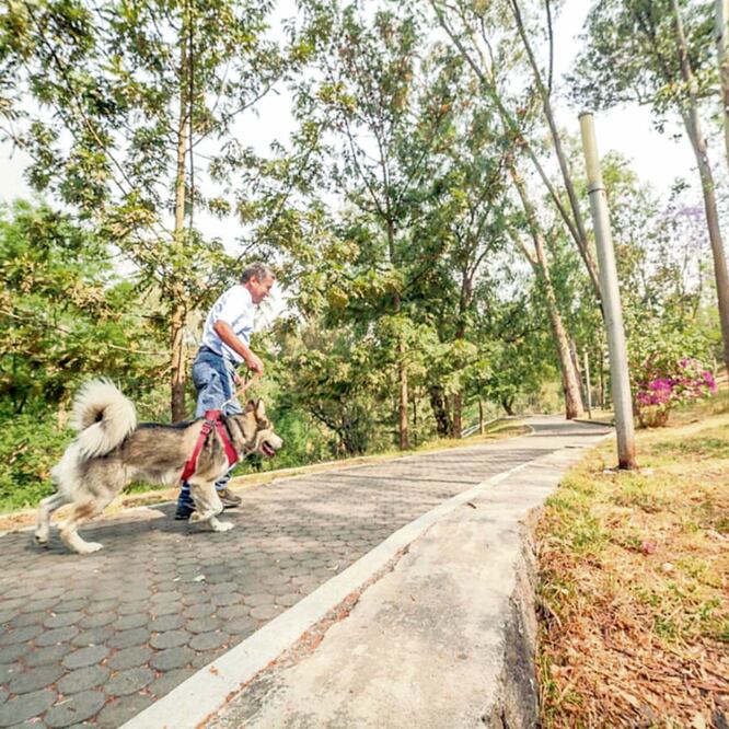 En la colonia Lomas de Chapultepec, los vecinos lograron rescatar la Barranca de Barrilaco de la delincuencia, pues sólo era utilizada para consumir drogas. ESPECIAL