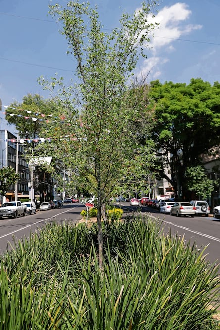 Foto: Diego Simón / El Universal/ Archivo