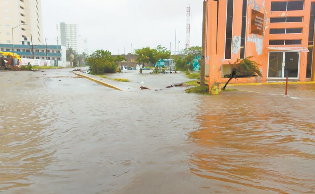 En Culiacán, el huracán dejó inundaciones y caídas de árboles y postes, sin que pasara a mayores. Foto: Javier Cabrera. EL UNIVERSAL
