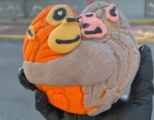 Panadería crea conchas inspiradas en el mono “Punch”; pan enternece a las redes