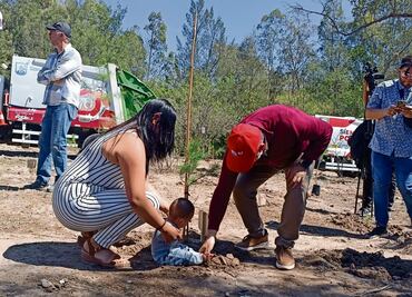 Bosque de la Vida, un árbol por cada bebé que nace