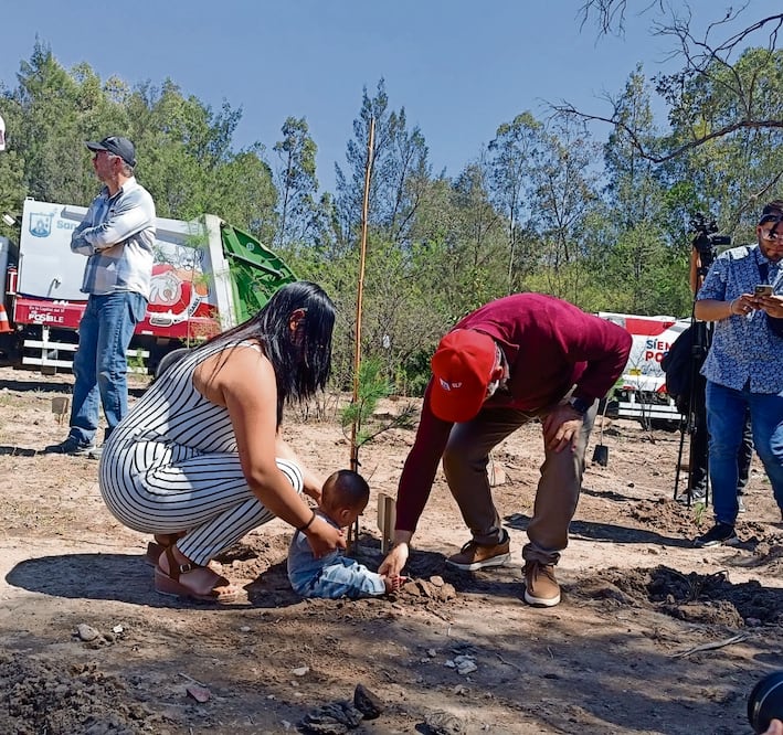 imena relató que cuando fue a registrar a César Daniel, la oficial que la atendió le comentó sobre el Bosque de la Vida. Foto: de Xochiquetzal Rangel