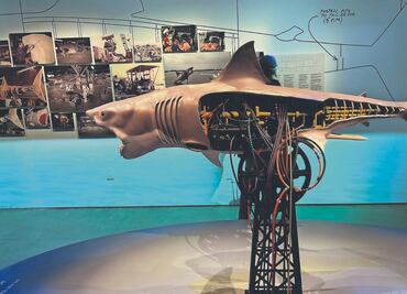 "Tiburón" acecha de nuevo a la Academia