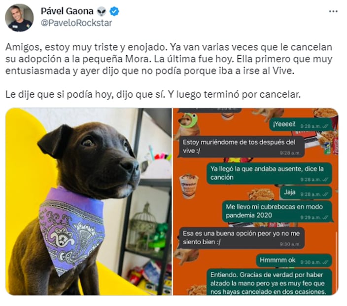 El tuit de Pavel causó gran impacto en redes sociales. Foto: Twitter. @PaveloRockstar