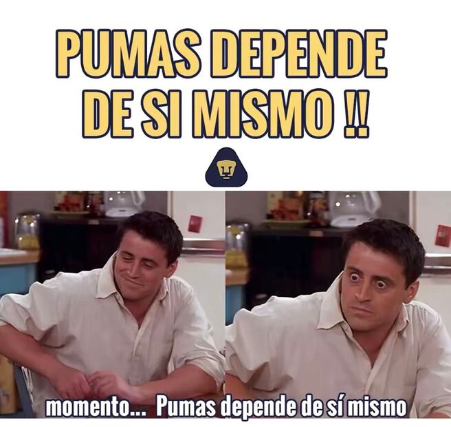 Pumas MEMES