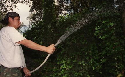 Multa por regar jardines con agua potable en la CDMX
