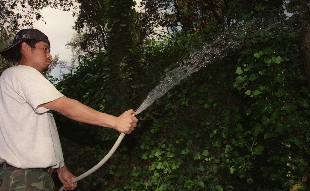 Foto: Archivo/EL UNIVERSAL 