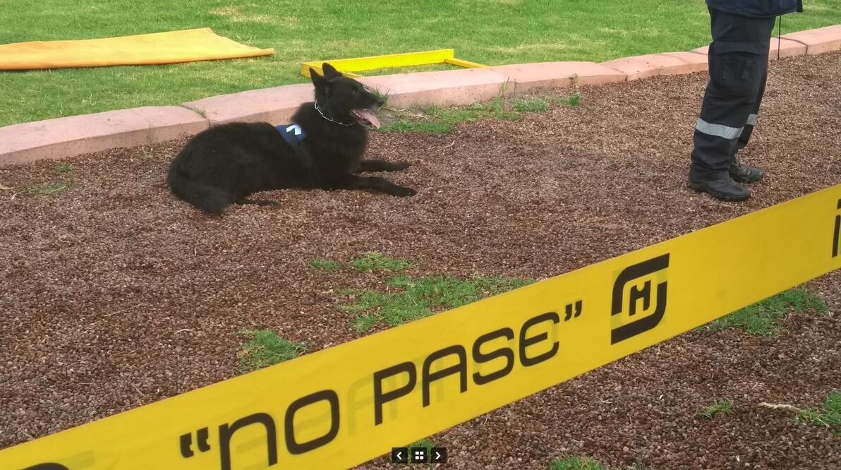 Fotografía tomada de la página de Fundación UNAM