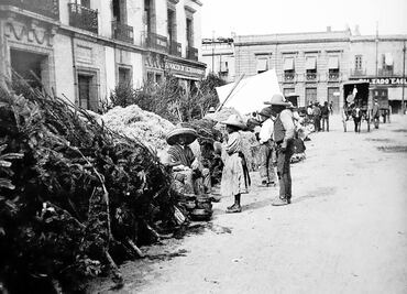 Navidad en la Alameda Central