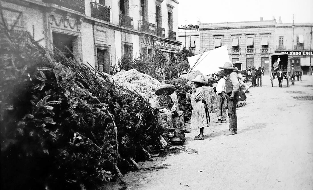 Navidad en la Alameda Central