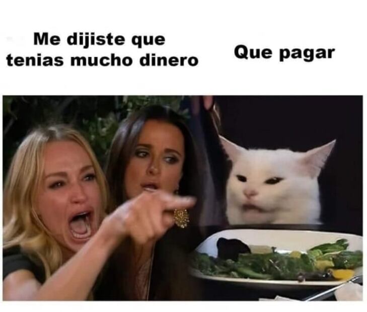Los mejores memes del gato