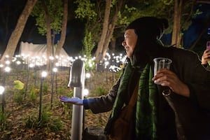 Jardín de corazonadas: una crónica de la gran instalación de Rafael Lozano-Hemmer en el MAM