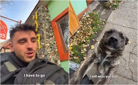 Turista estadounidense se despide de perrita que conoció en La Patagonia; video conmueve en redes