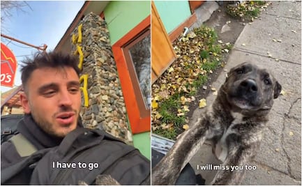 Turista estadounidense se despide de perrita que conoció en La Patagonia; video conmueve en redes