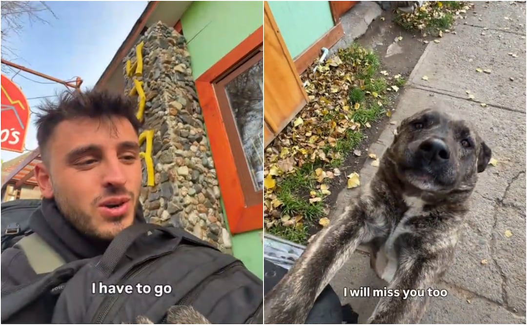 Un turista estadounidense publicó la reacción de una perrita que conoció en La Patagonia tras despedirse de ella. Foto: TikTok