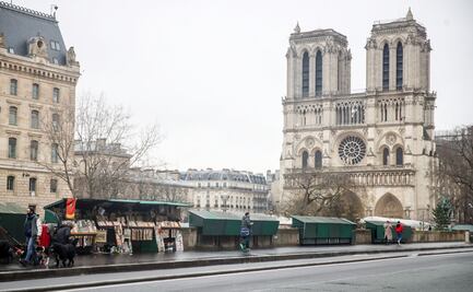 Buscan piedras similares a las de Notre Dame para restaurarla