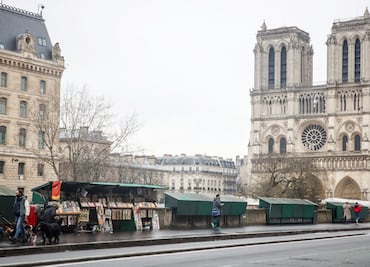 Buscan piedras similares a las de Notre Dame para restaurarla