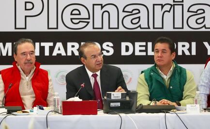 Senado también debe revisar propuesta de agentes armados en vuelos: Navarrete Prida