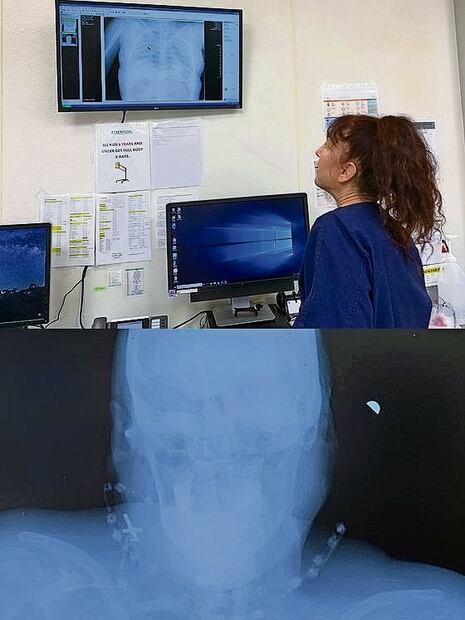 Los forenses suben la información de los migrantes a diversas bases de datos nacionales e internacionales. Foto: Especial