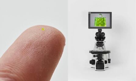 La bolsa Louis Vuitton que es más pequeña que un grano de sal