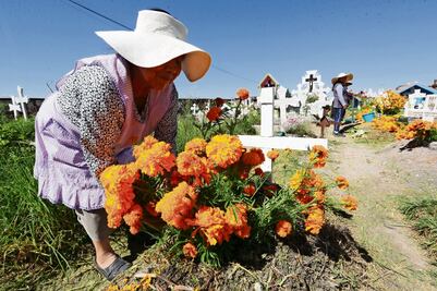“El cempasúchil es símbolo de la llegada de los seres amados”