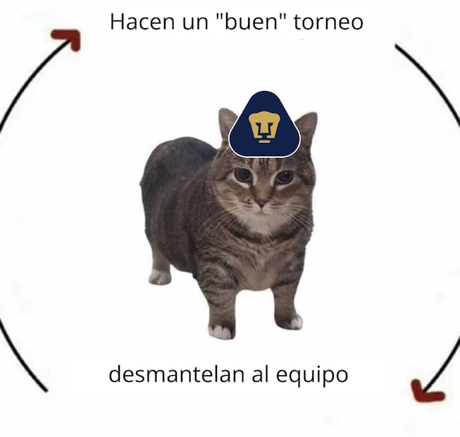 Pumas MEMES