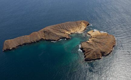 Ecuador restringe ingreso para visitantes de Islas Galápagos por coronavirus
