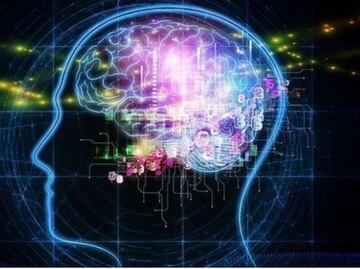 Gen explica por qué el cerebro de algunos envejece más rápido