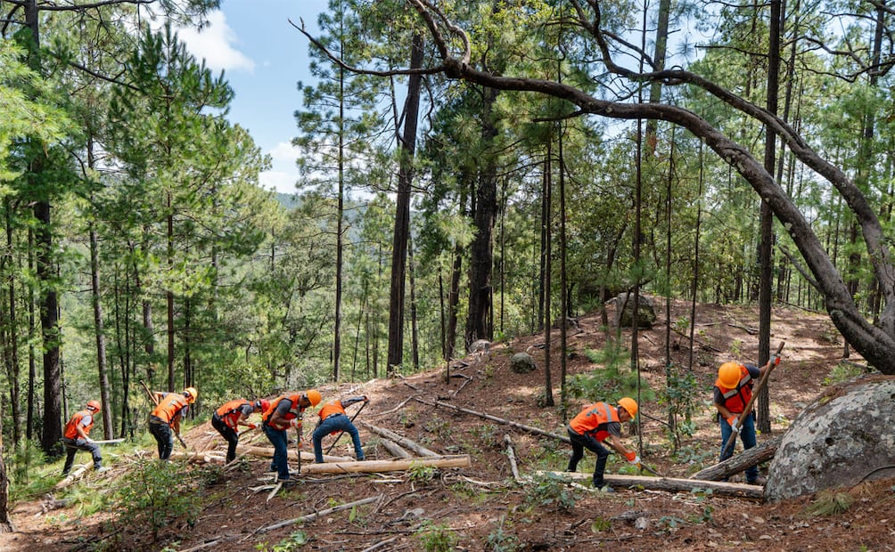El ejido La Florida ha visto mejorar sus condiciones de trabajo y comunitarias con los primeros beneficios obtenidos. Foto: Cortesía