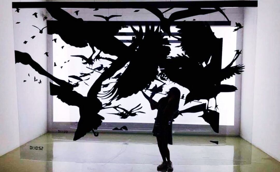 La exhibición estará montada hasta enero de 2019 / Fotos: Cineteca Nacional y Archivo El Universal