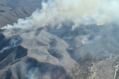 Incendios de Coahuila y San Luis Potosí avanzan en límites con Nuevo León